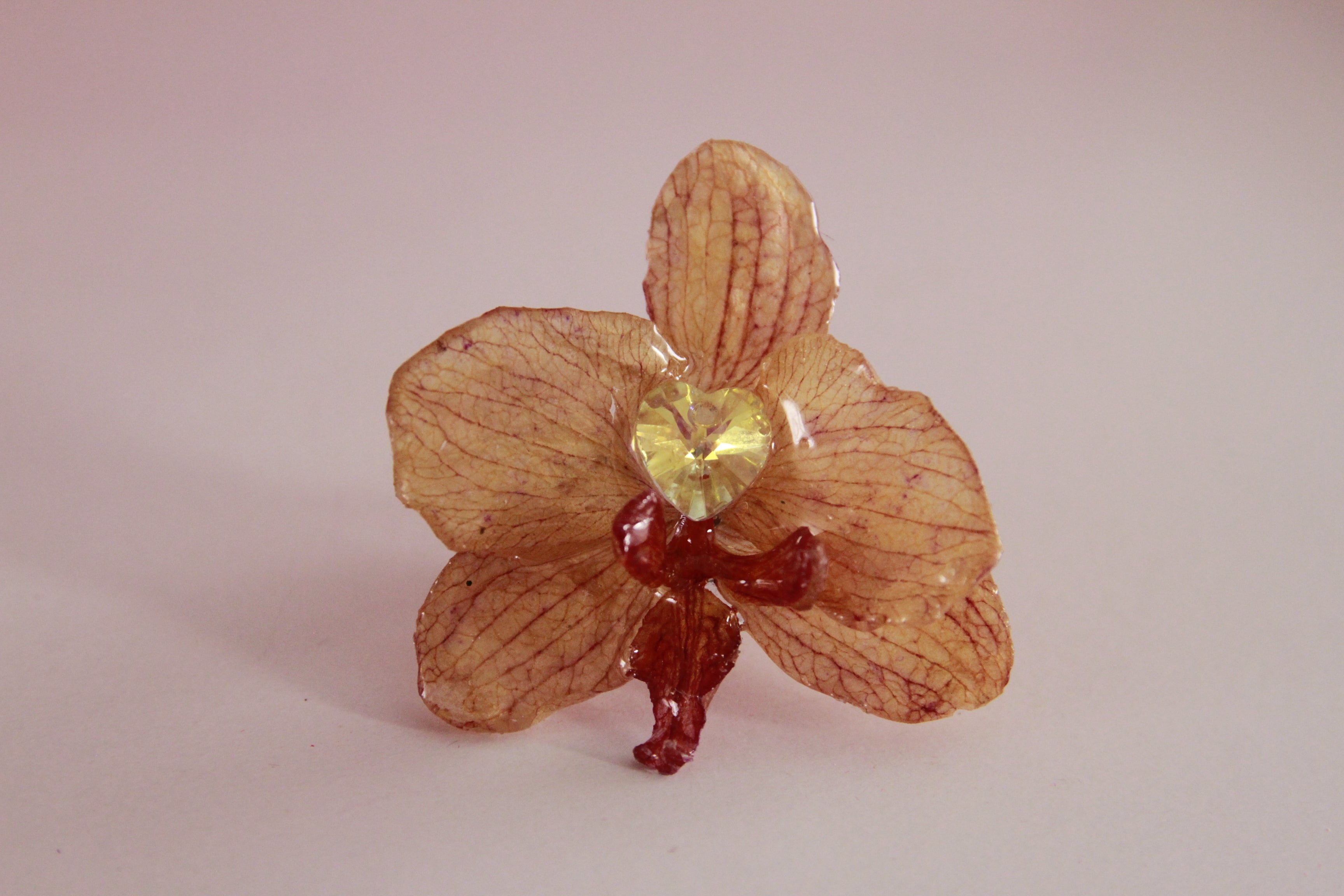 Anillo de Orquídea